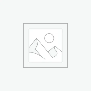 Professional Dental Scaler